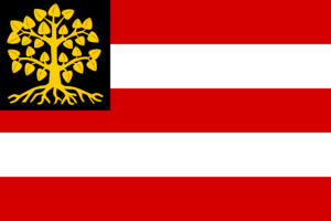 Flag of s Hertogenbosch.svg