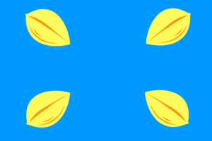 Hilversum vlag.svg