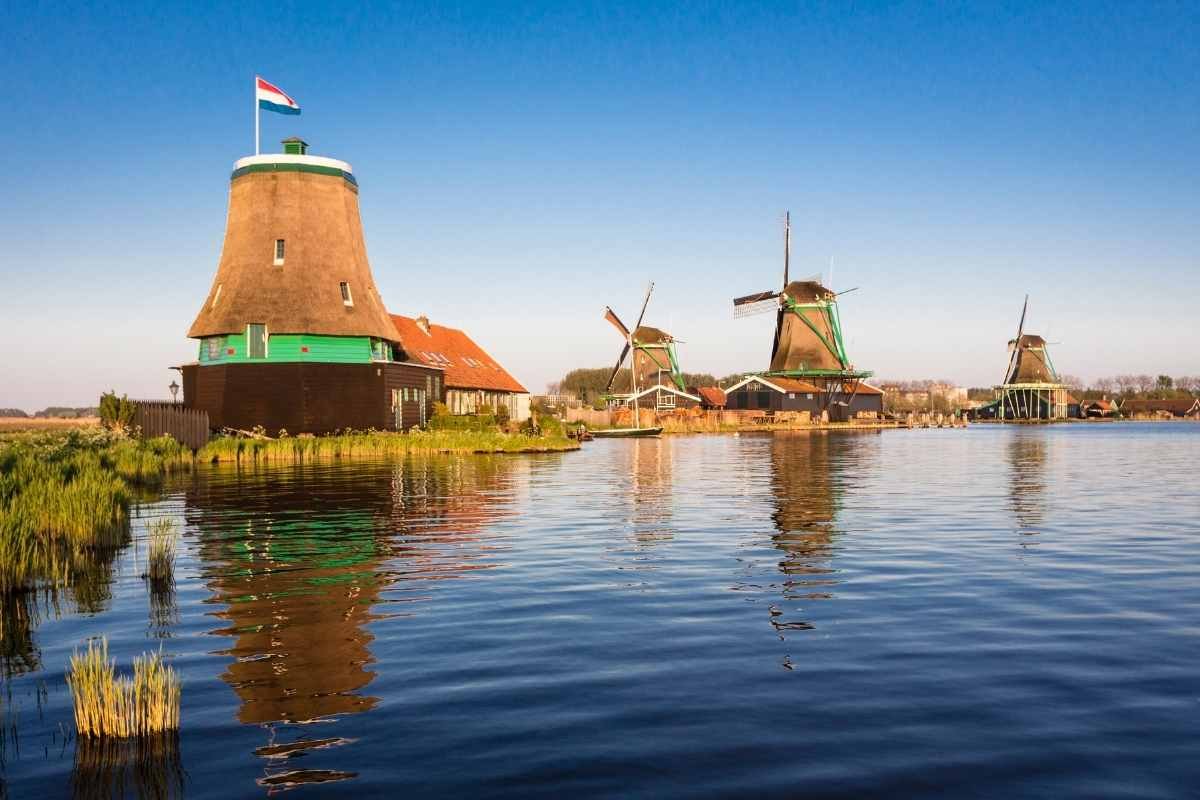 Hollanda Zchanse Schans Yel Değirmenleri Turu (2)